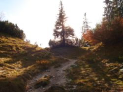 2013-10-26_Schildenstein (243).JPG